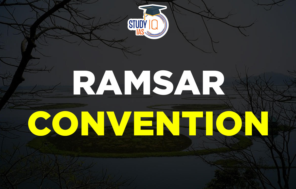 Ramsar Convention on Wetlands 1971, Objectives, Criteria