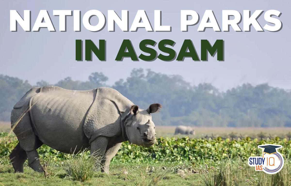 National Parks in Assam