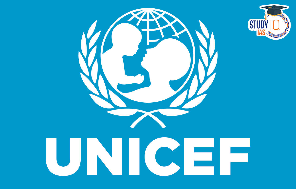 United Nations Children's Fund (UNICEF), Headquarters, Functions
