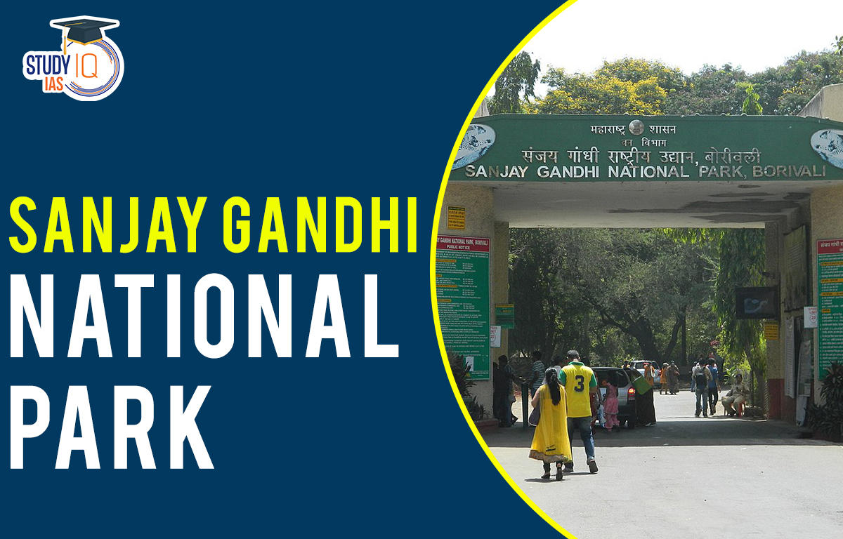 Sanjay gandhi national park