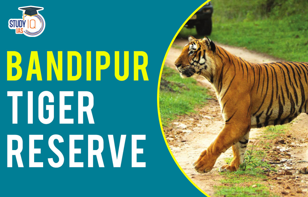 Bandipur tiger reserve