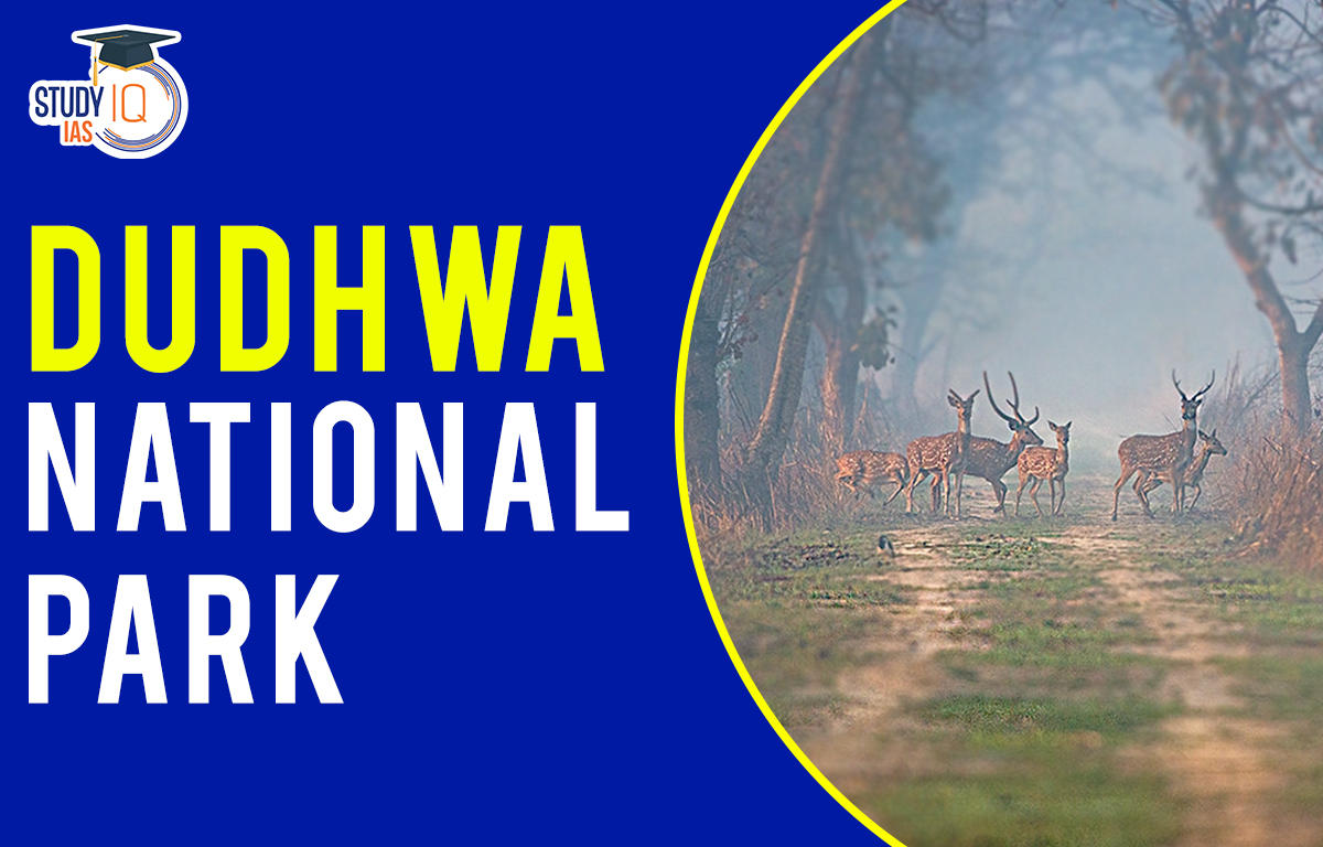 Dudhwa national park.