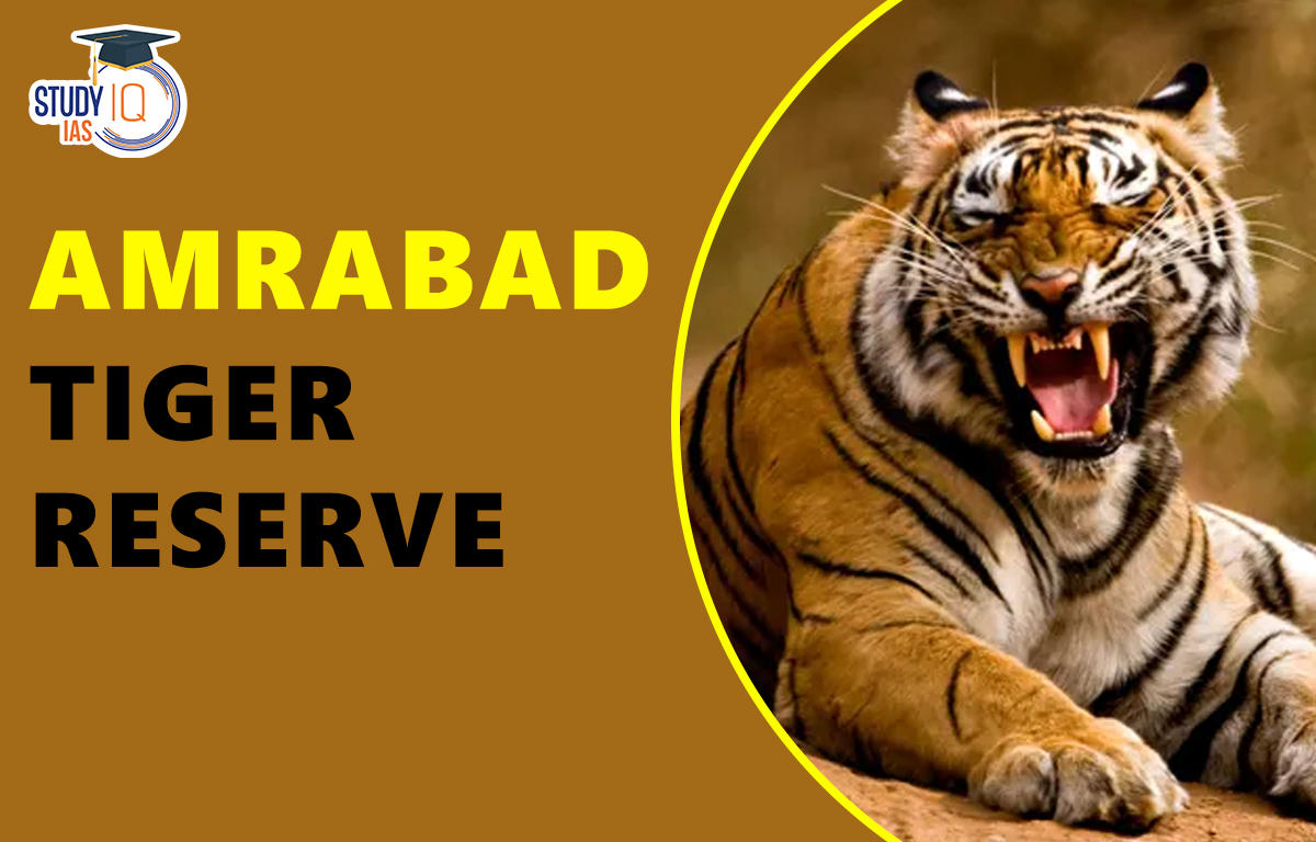 amrabad tiger reserve