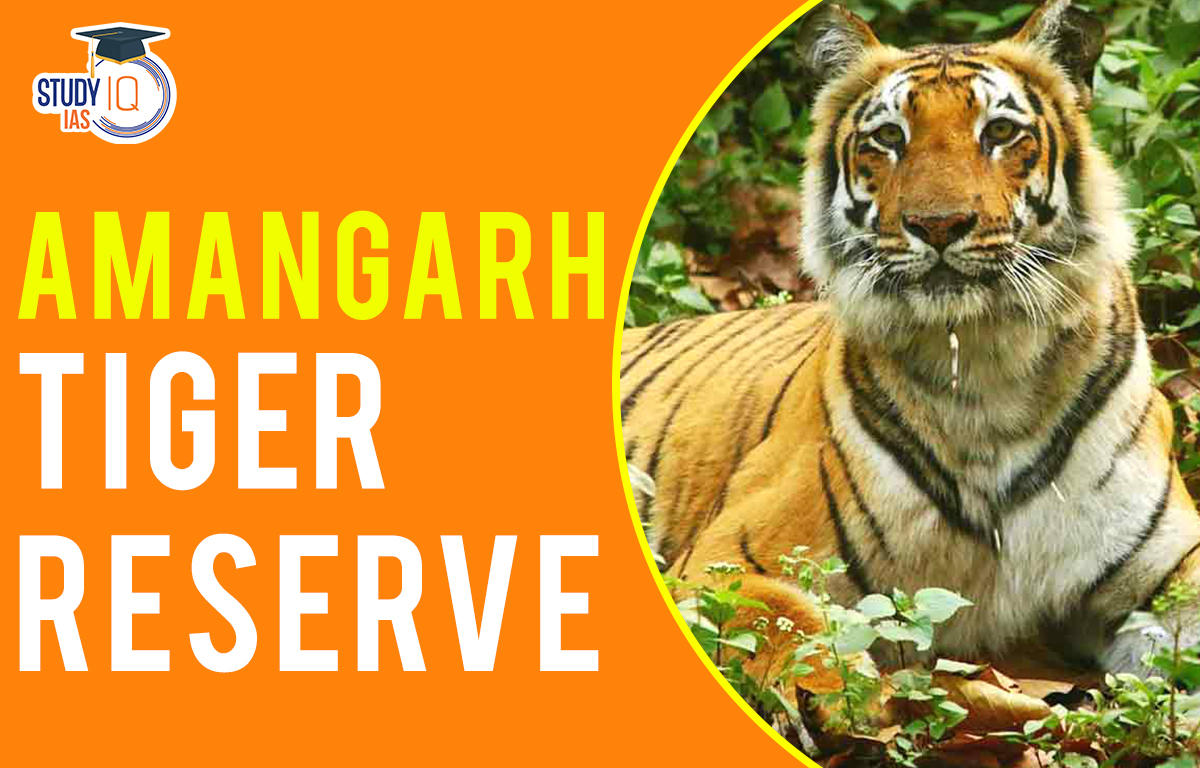 Amangarh tiger reserve