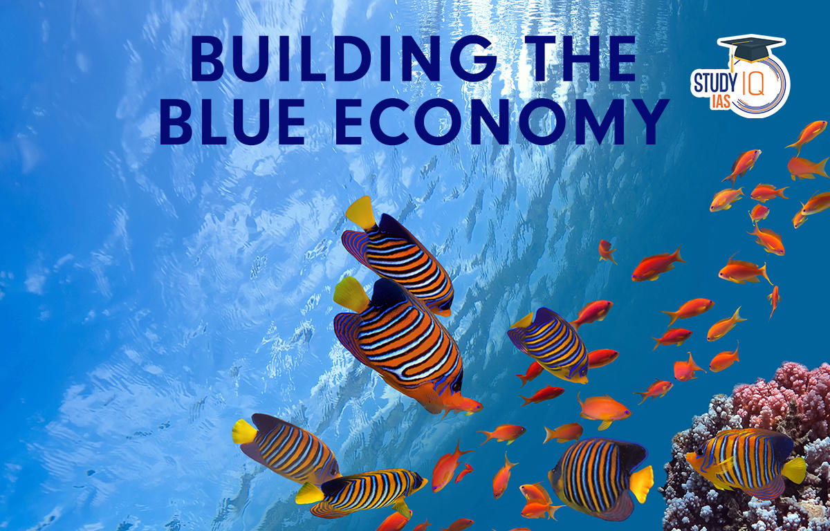 Building the Blue Economy