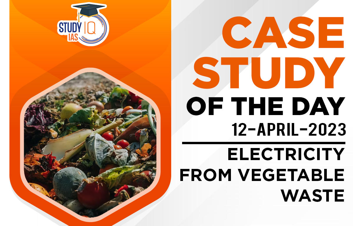 Electricity from Vegetable Waste