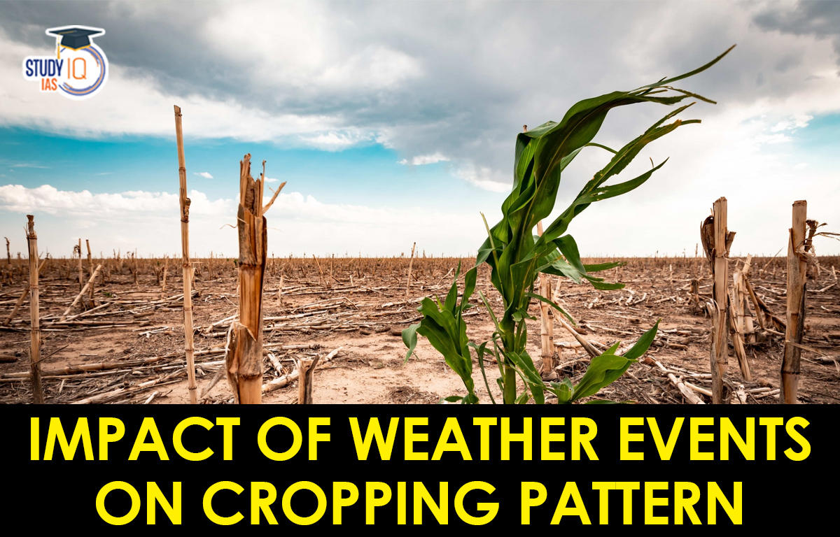 Impact of Weather Events on Cropping Pattern