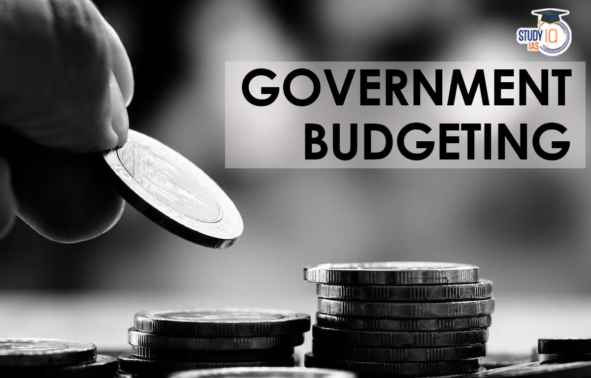literature review of government budget
