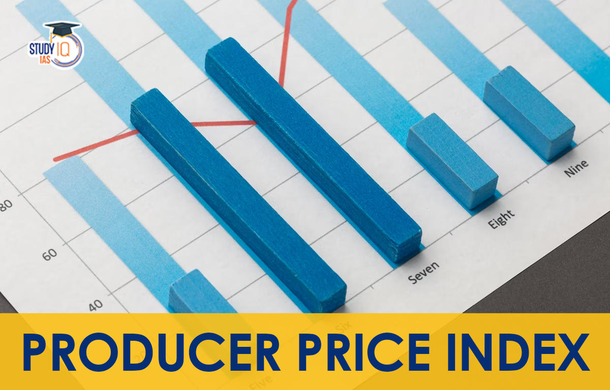 Producer Price Index in India, Definition, Formula, Purpose