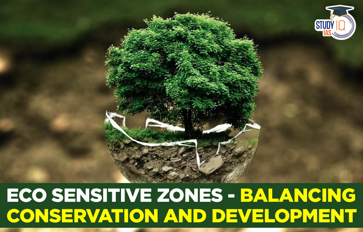 Eco sensitive zones - Balancing Conservation and development