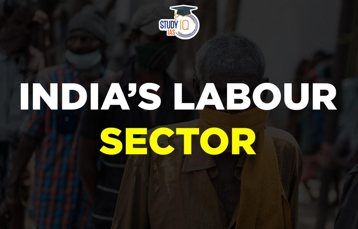 India’s Labour Sector