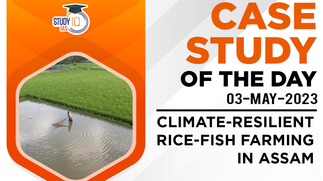 Climate-Resilient Rice-Fish Farming in Assam
