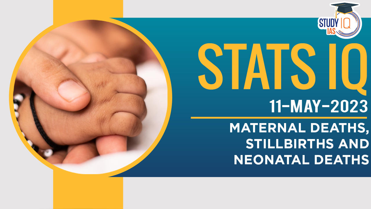 Maternal Deaths, Stillbirths and Neonatal Deaths
