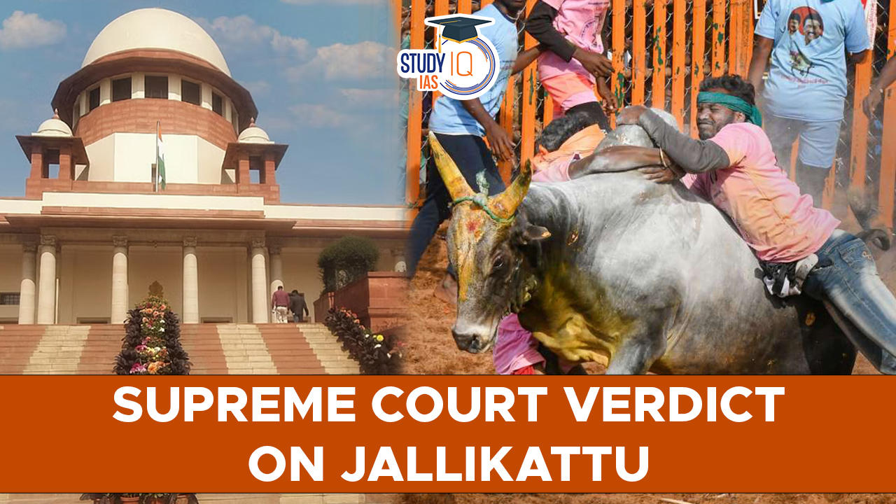 Supreme Court Verdict on Jallikattu