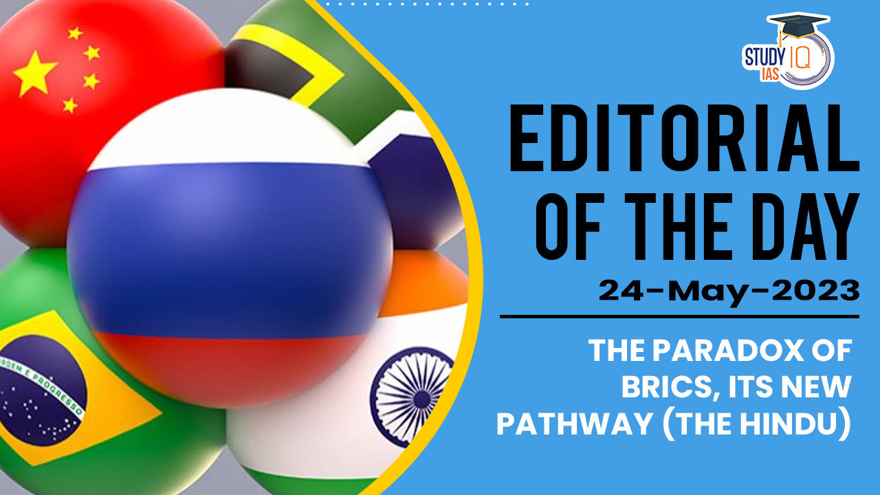 The Paradox of BRICS, its new pathway