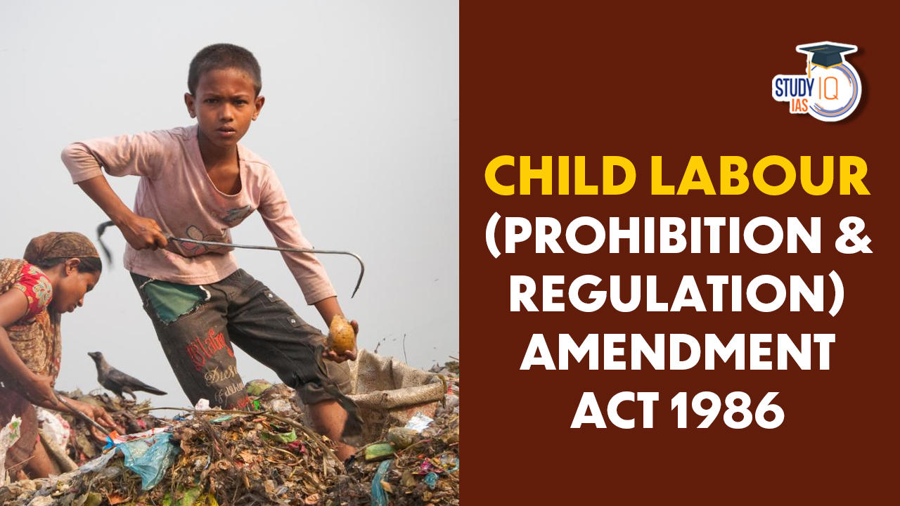 essay on child labour act 1986