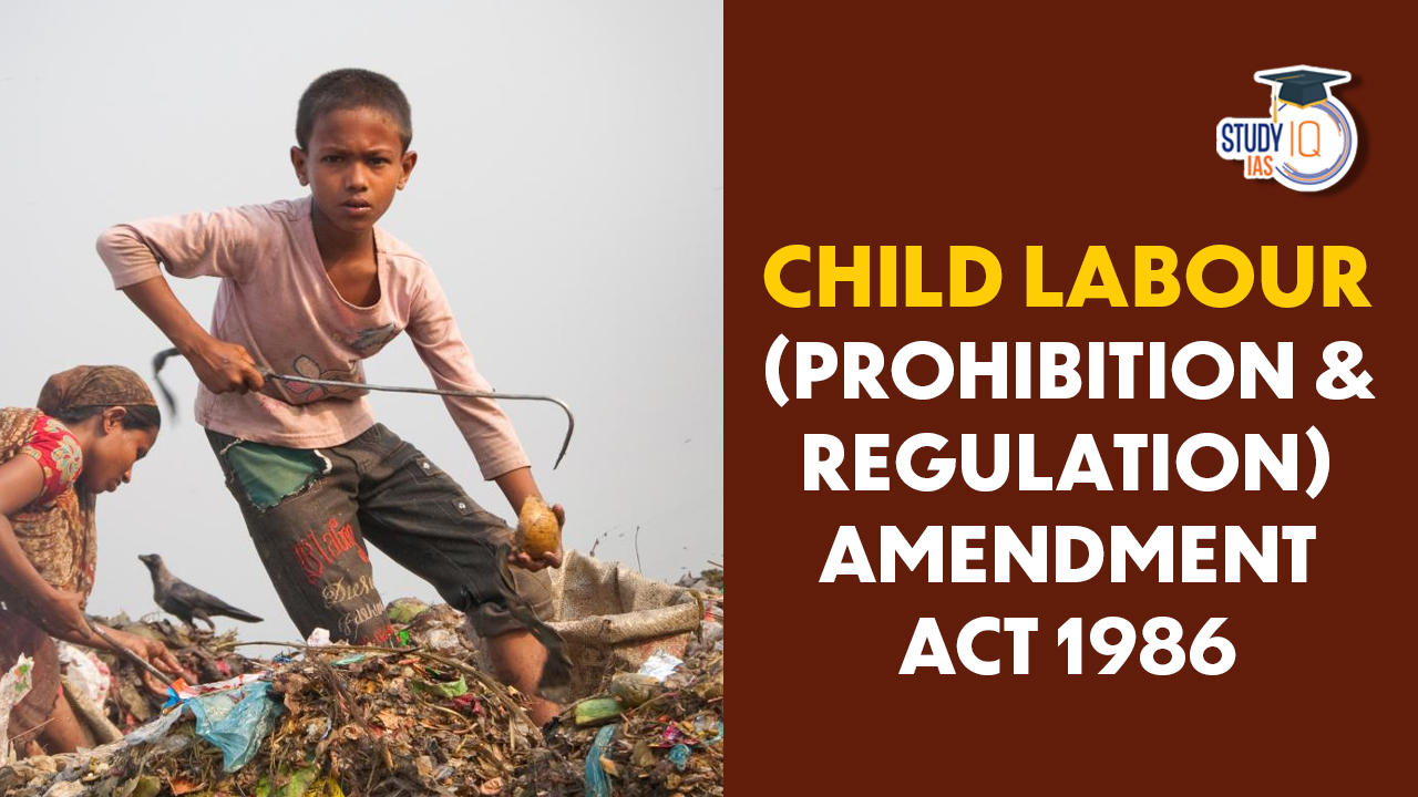 child-labour-prohibition-regulation-act-1986