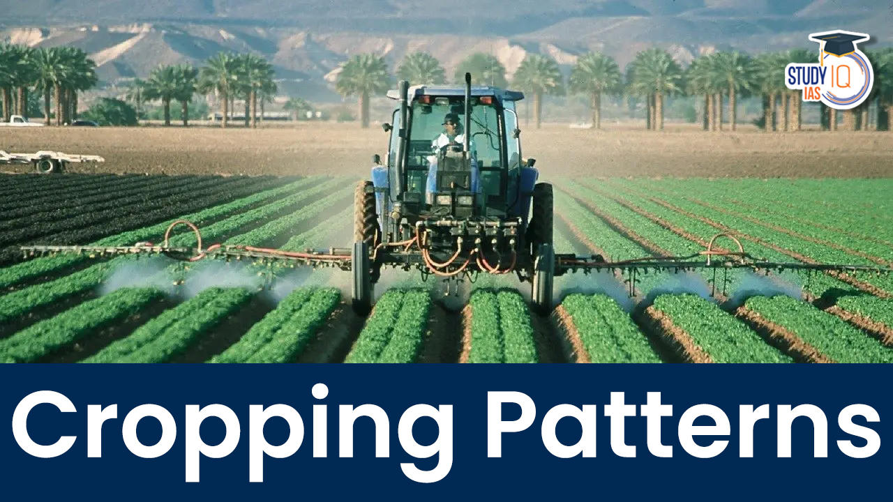 cropping-patterns-in-india-types-factors-major-crops