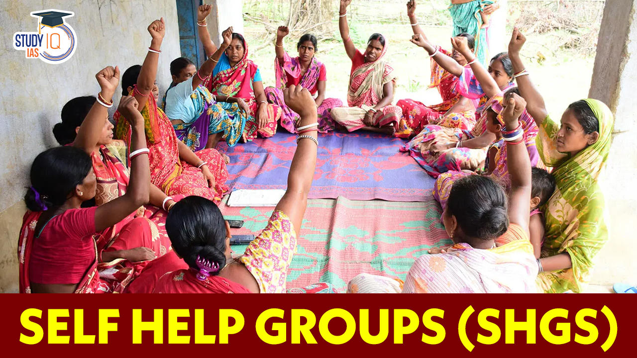 case study on self help group