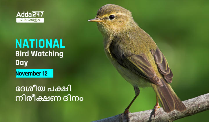 National Bird Watching Day 2022, [November 12], Significance_30.1