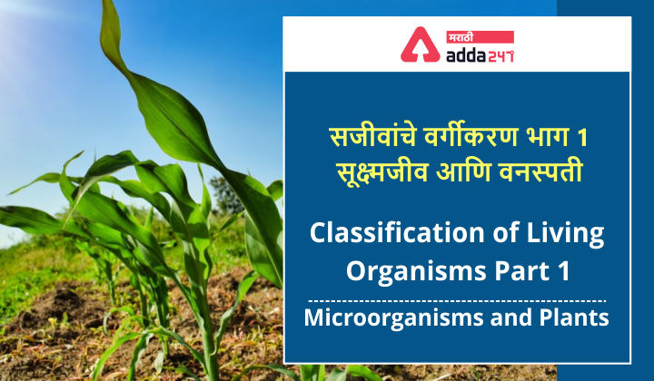 Classification of Living Organisms Part 1-Microorganisms and Plants_30.1