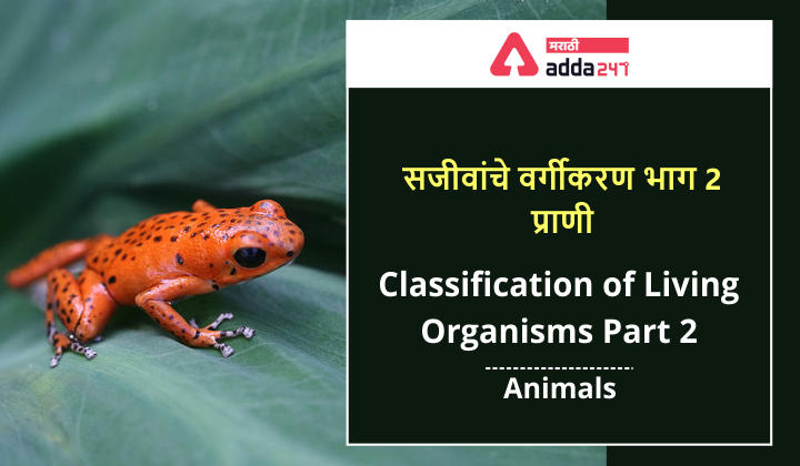 सजीवांचे वर्गीकरण भाग 2 - प्राणी | Classification of Living Organisms Part 2- Animals_30.1