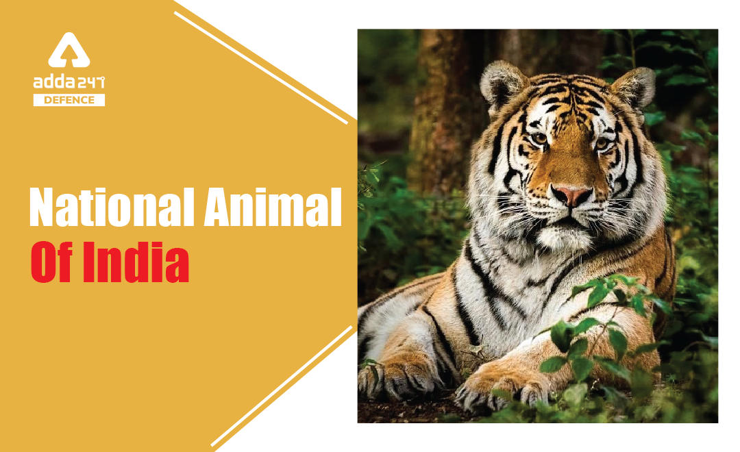 What is the National Animal of India ?