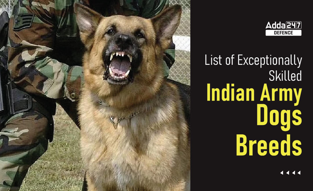 Indian Army Dogs, List of Exceptionally Skilled Indian Army Dogs Breeds_30.1