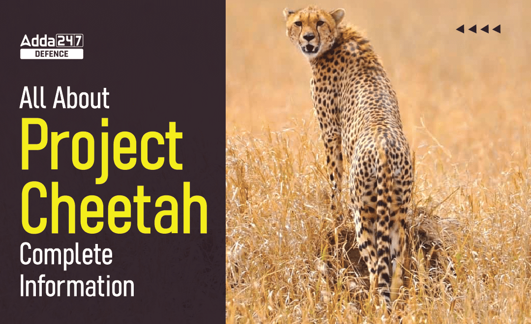 All About Project Cheetah, Complete Information_30.1