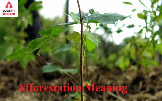 Afforestation Meaning | adda247_30.1