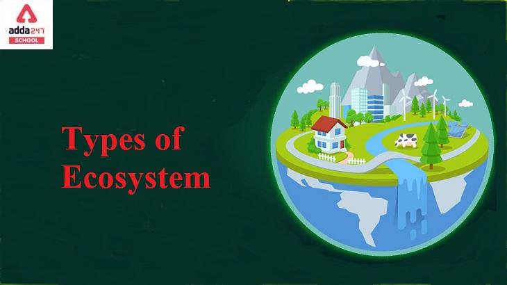 Types of Ecosystem: Grassland, Marine, Desert Ecosystem_30.1