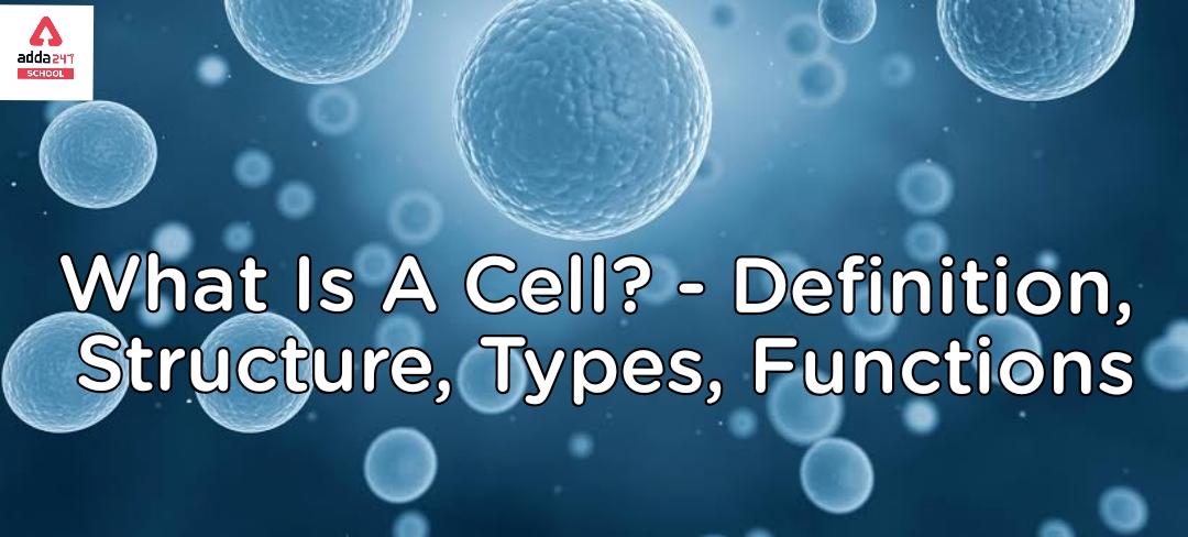 What Is Cell? - Definition, Structure, Types, Functions