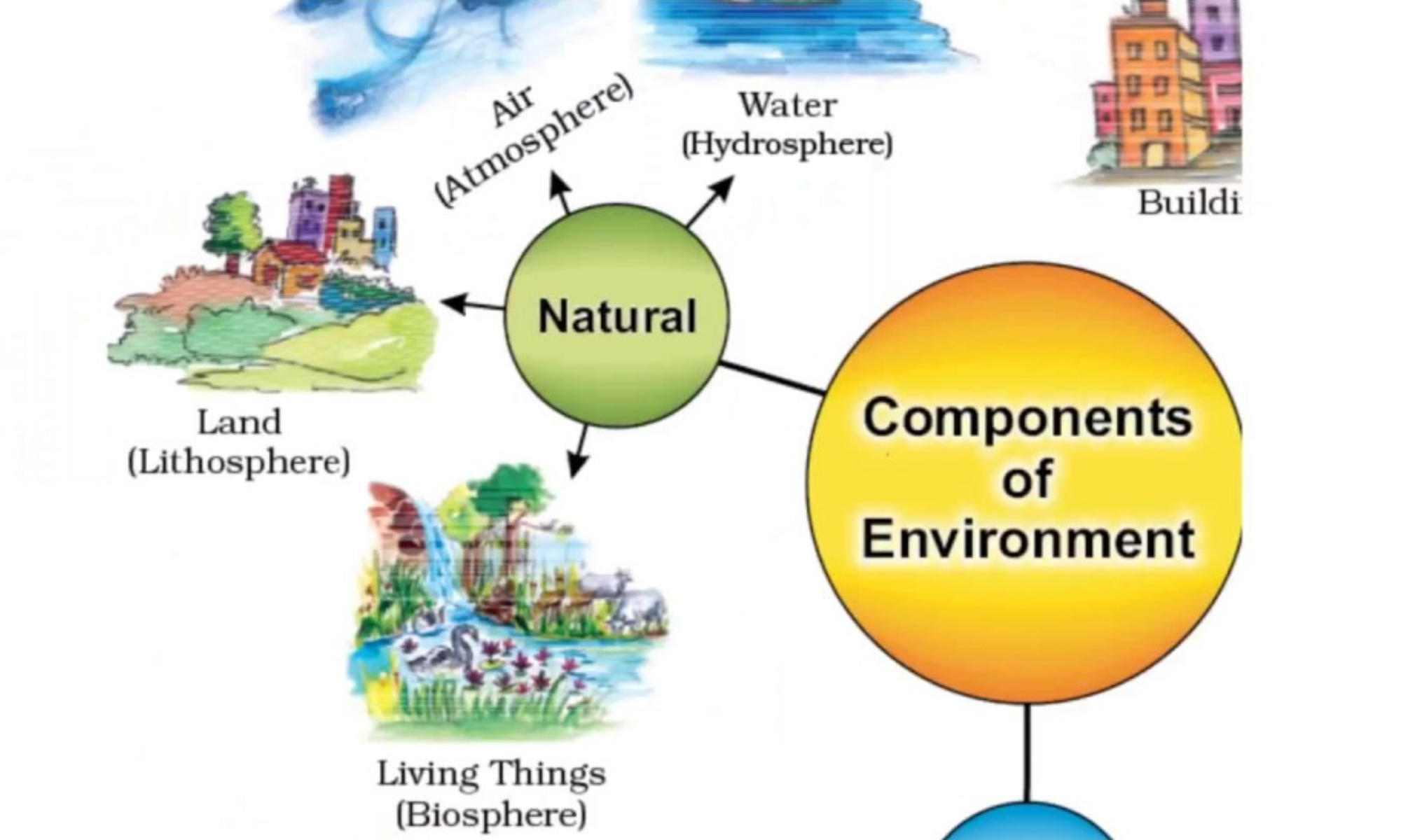 components of environment definition, chart, pdf for class 7 