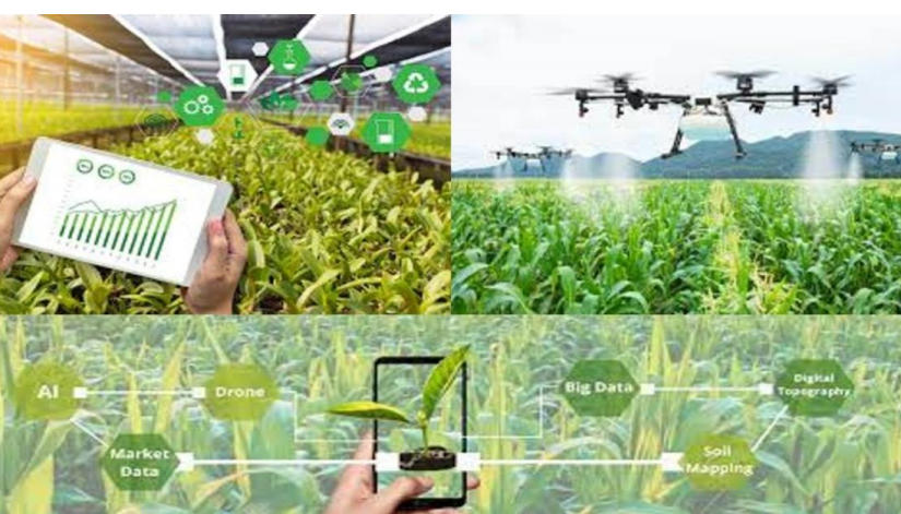 Role of Information Technology in Agriculture(Hindi)_30.1