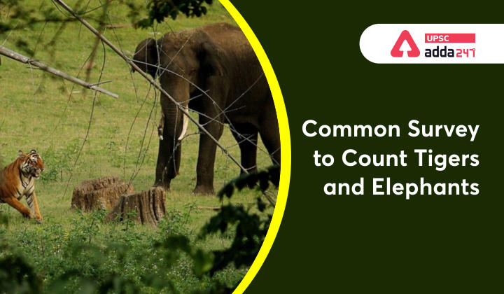 Common Survey to Count Elephants and Tigers_30.1