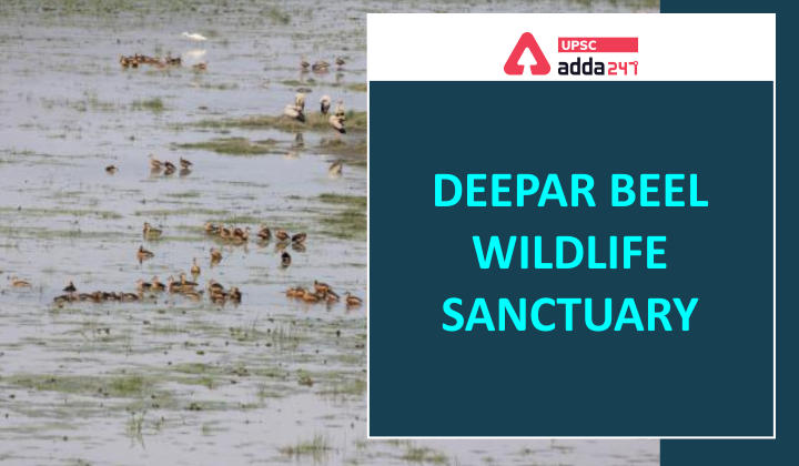 Deepor Beel Wetland and Wildlife Sanctuary_30.1