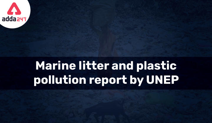Marine Litter and Plastic Pollution Report by UNEP_30.1