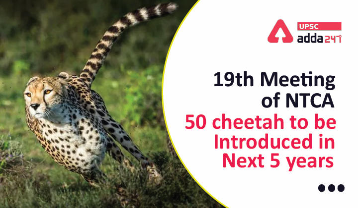 19th Meeting of NTCA: 50 Cheetah to be introduced in next 5 years_30.1