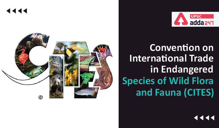 Convention on International Trade in Endangered Species of Wild Flora and  Fauna (CITES)