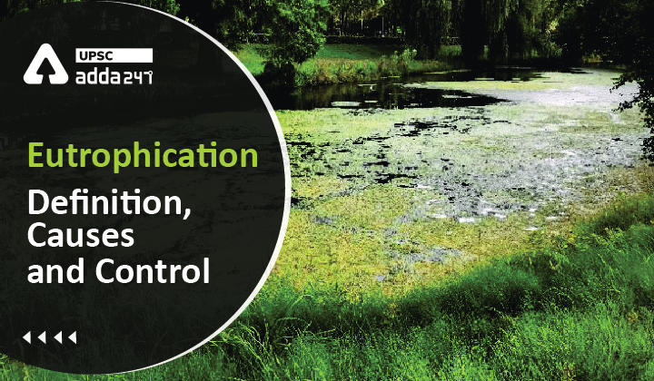 Eutrophication: Definition, Causes and Control_30.1