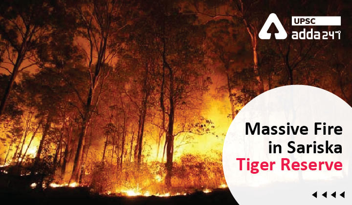 Massive Fire in Sariska Tiger Reserve_30.1