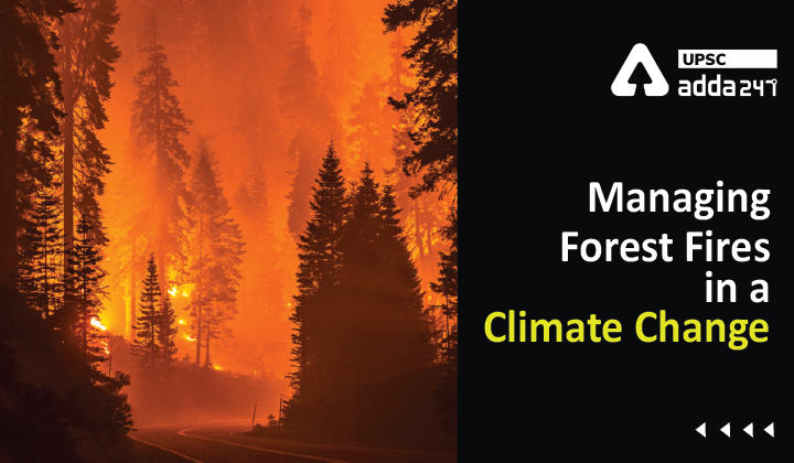 जलवायु परिवर्तन में वनों की आग का नियंत्रण _30.1