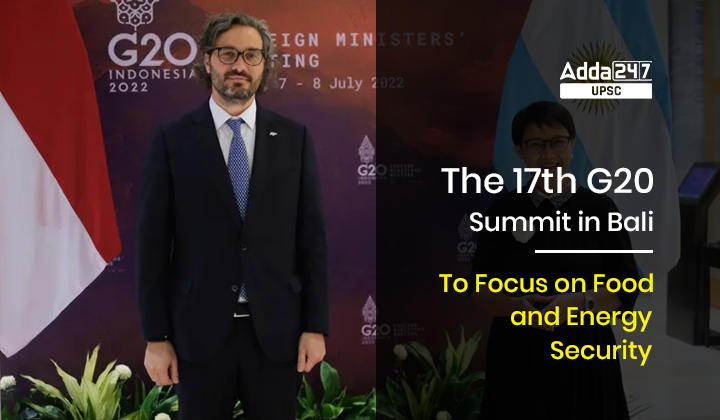 The 17th G20 Summit in Bali_30.1