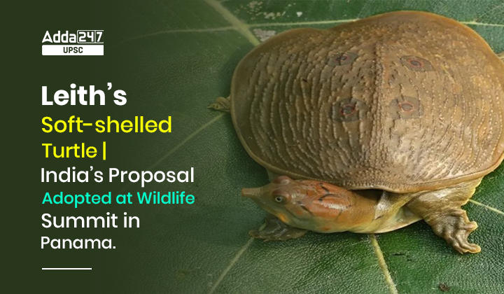 लीथ के मृदु कवच वाले कछुए| पनामा में वन्यजीव शिखर सम्मेलन में अपनाया गया भारत का प्रस्ताव_30.1