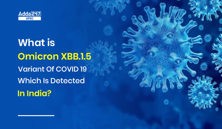 What is Omicron XBB.1.5 Variant Of COVID 19 Which Is Recently Detected In India?_30.1