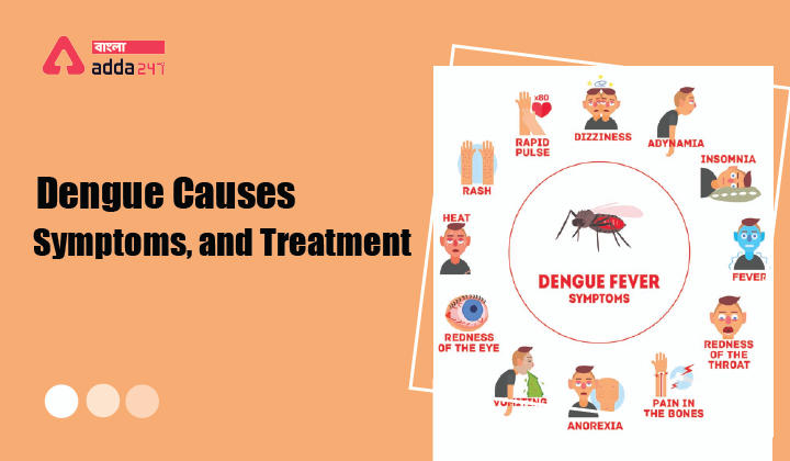 ডেঙ্গু জ্বর: কারণ, লক্ষণ ও চিকিৎসা,Dengue fever: Causes, Symptoms, and Treatment_30.1