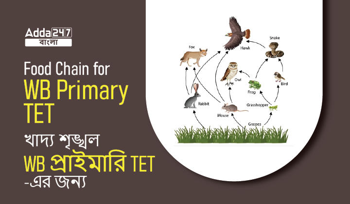 Food Chain for WB Primary TET_30.1