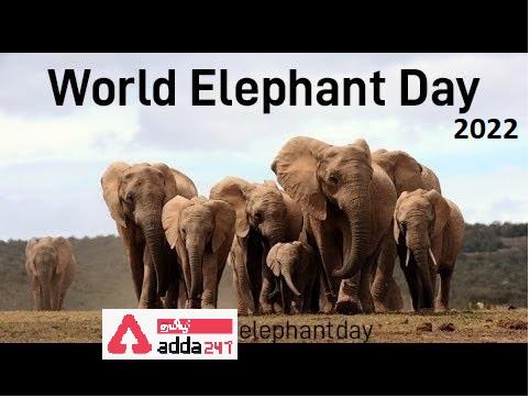 World Elephant Day_30.1