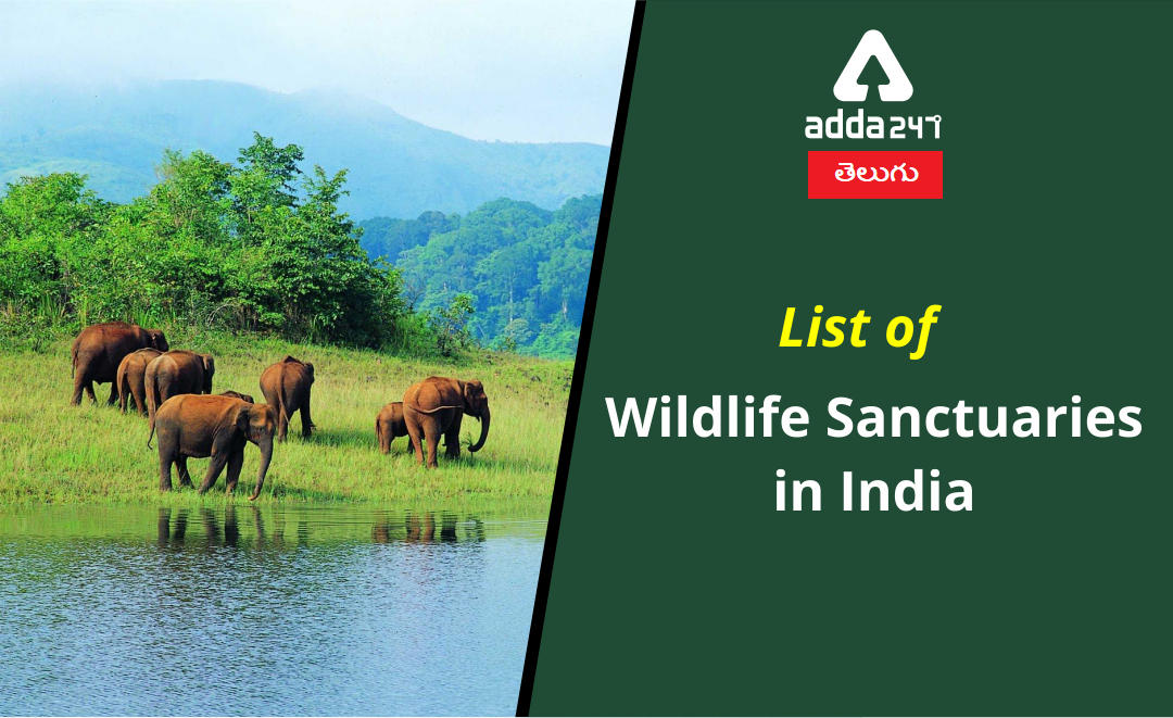 Wildlife Sanctuaries In India | భారతదేశంలోని వన్యప్రాణుల అభయారణ్యాలు |_30.1