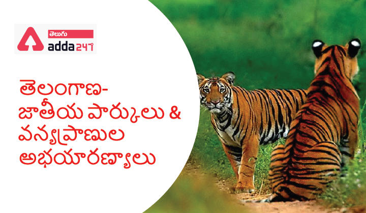 List of National Parks And Wildlife Sanctuaries in Telangana (తెలంగాణ- జాతీయ పార్కులు – వన్యప్రాణుల అభయారణ్యాల జాబితా) |_30.1